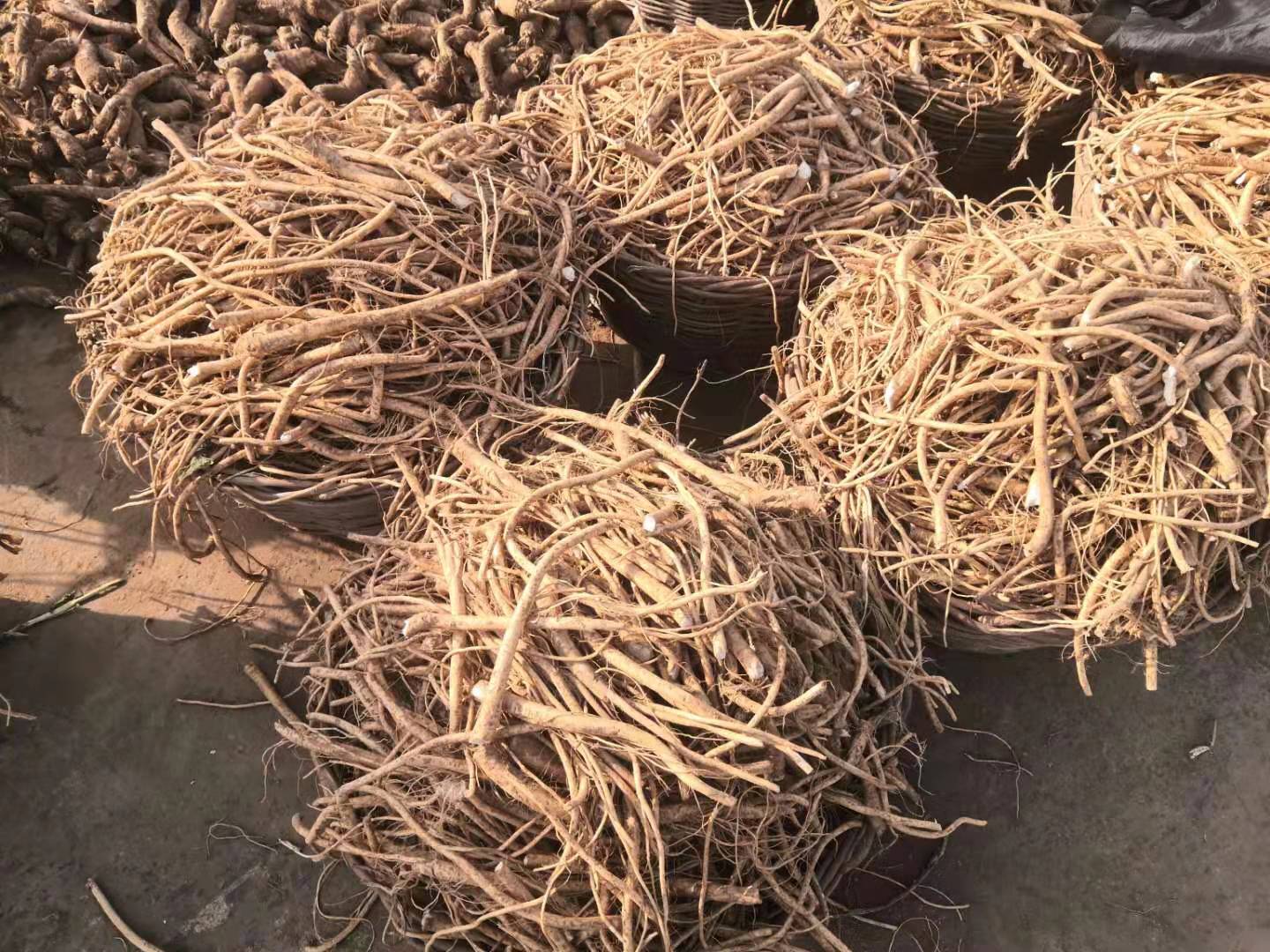 告訴你芥末和辣根的區(qū)別！